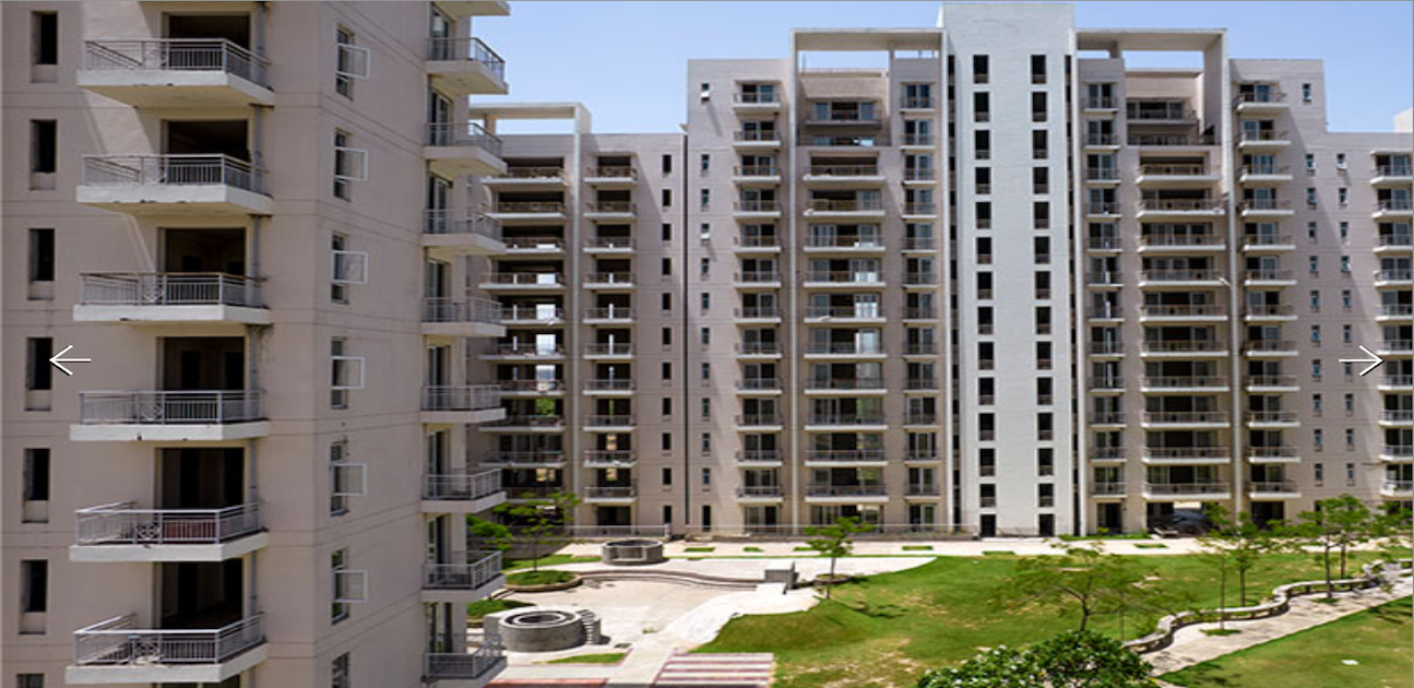 capital one global sector 73 sco plots Gurgaon